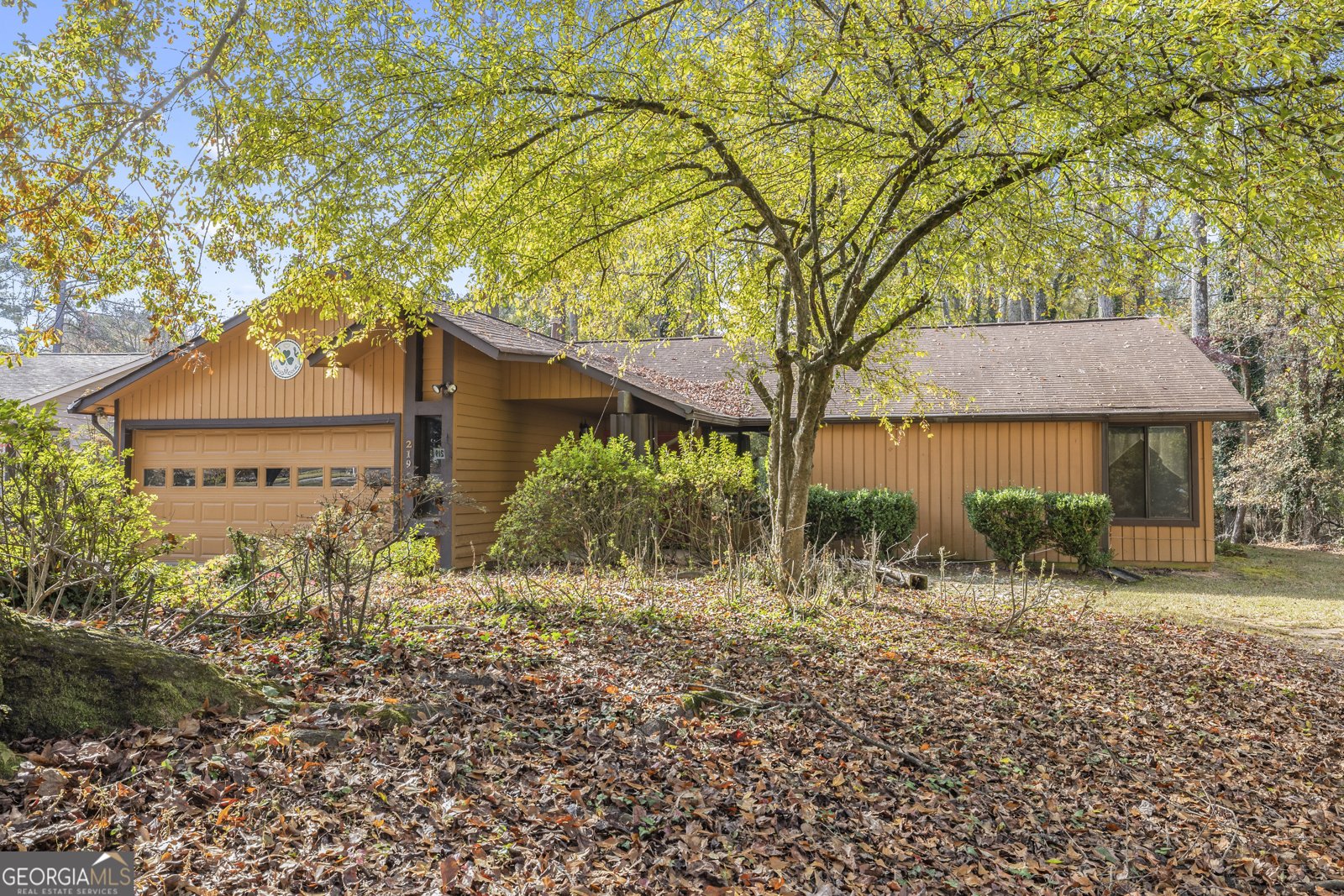 219 Driftwood Lane Peachtree City - 2