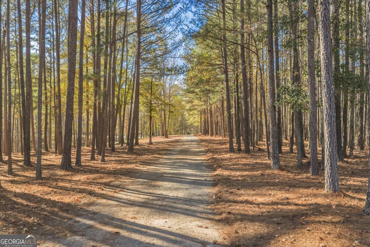 2079 Highway 85 Senoia - 37