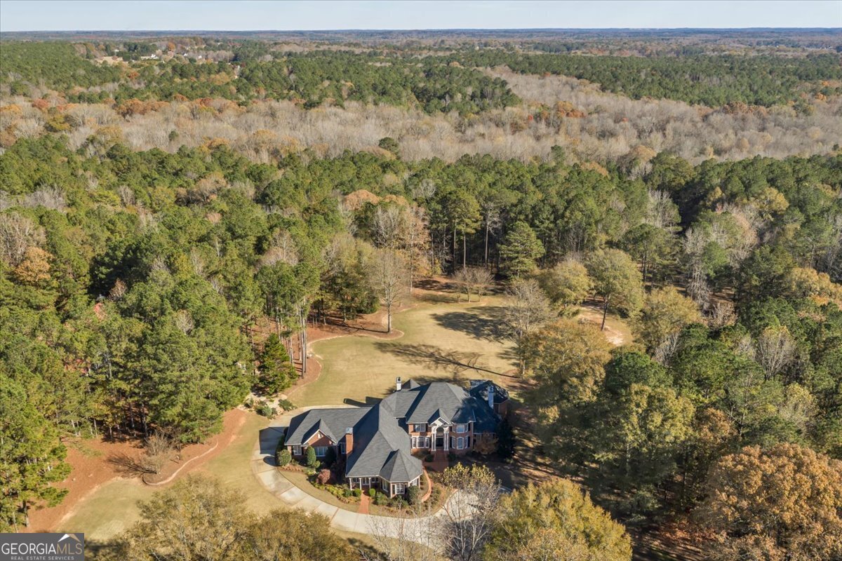 2079 Highway 85 Senoia - 49