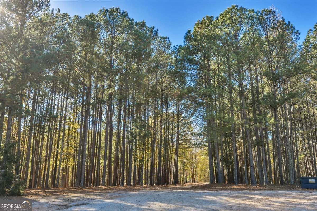 2079 Highway 85 Senoia - 59