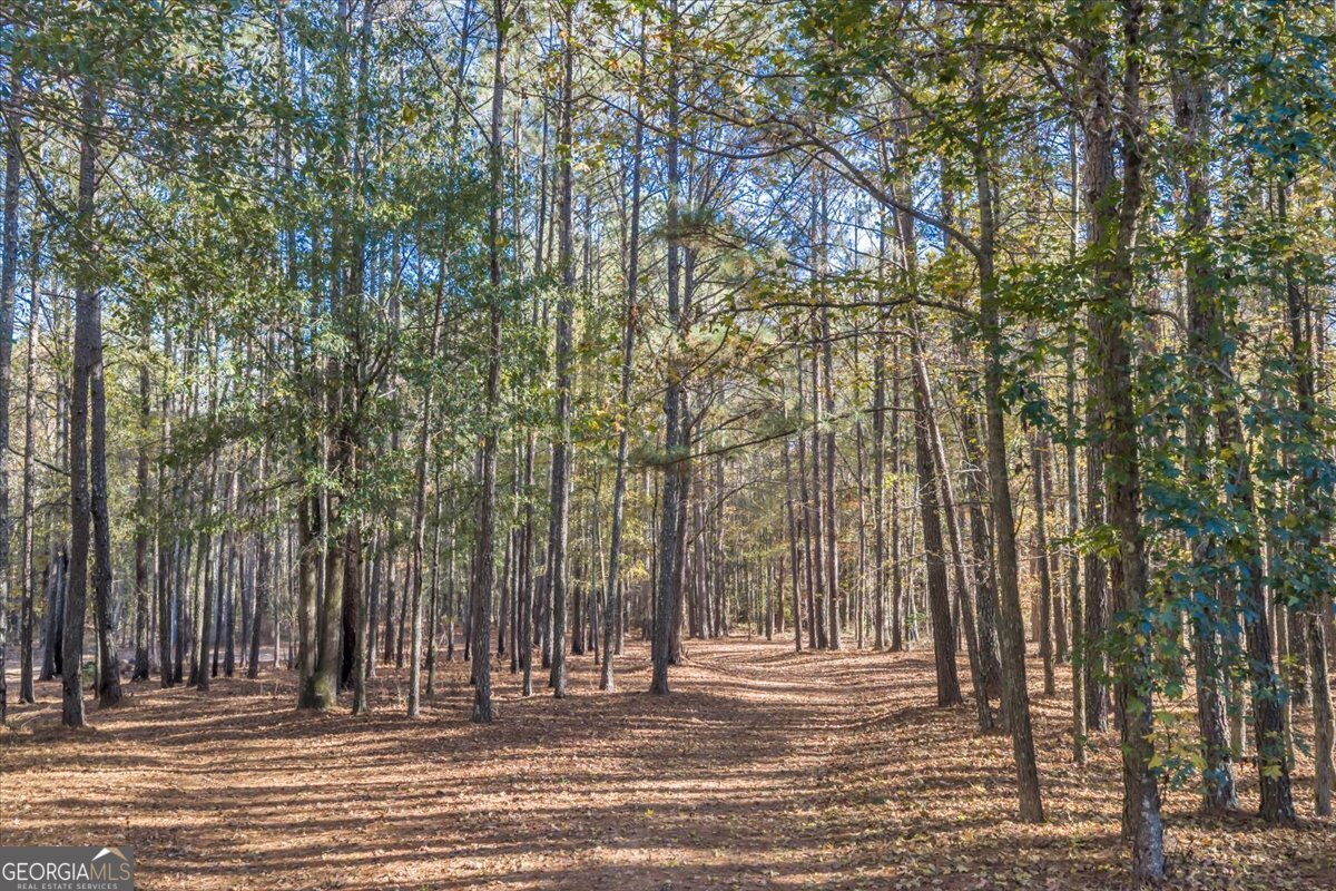 2079 Highway 85 Senoia - 60