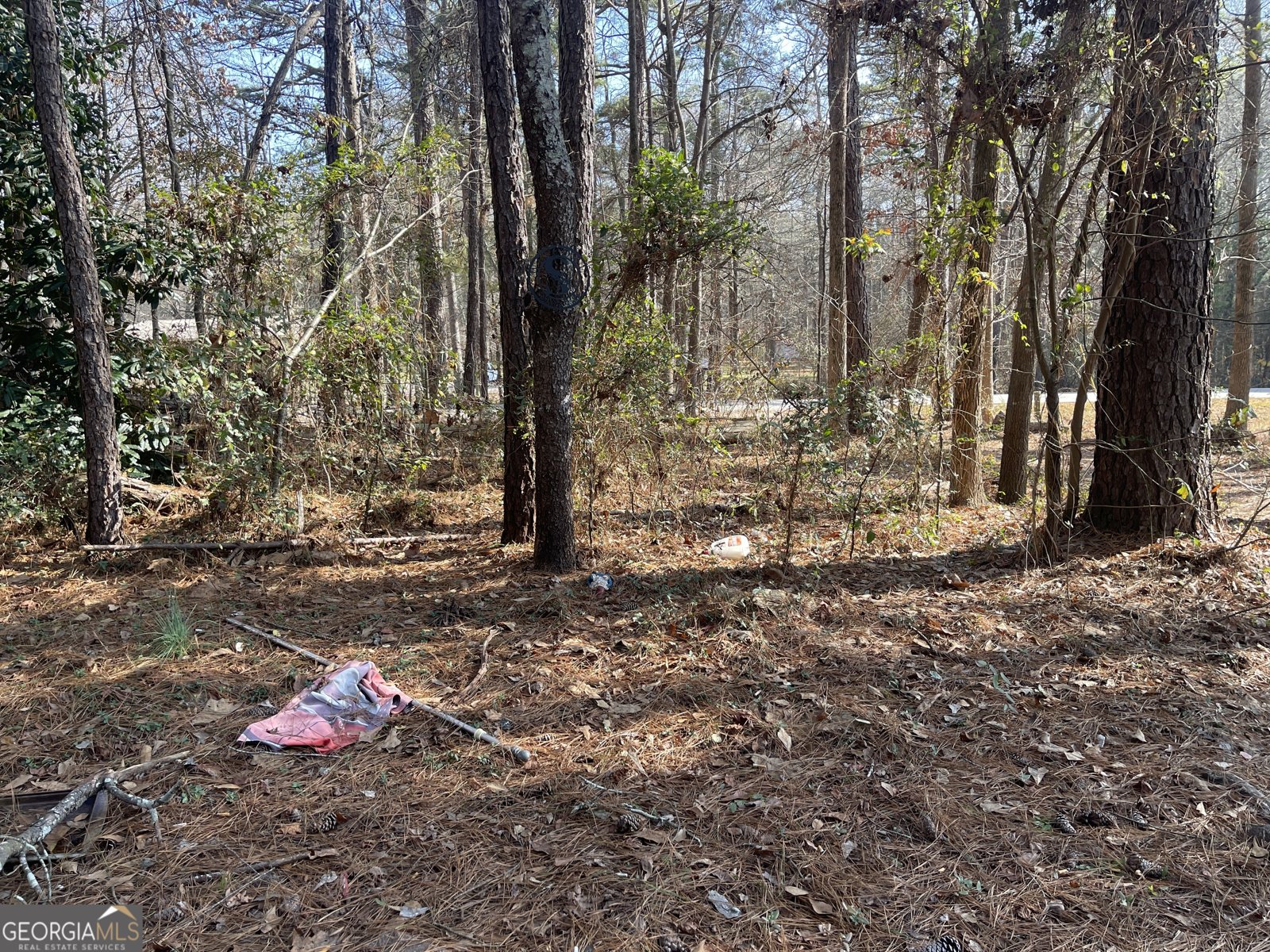 1811 McNutt Creek Road Bogart - Photo 11