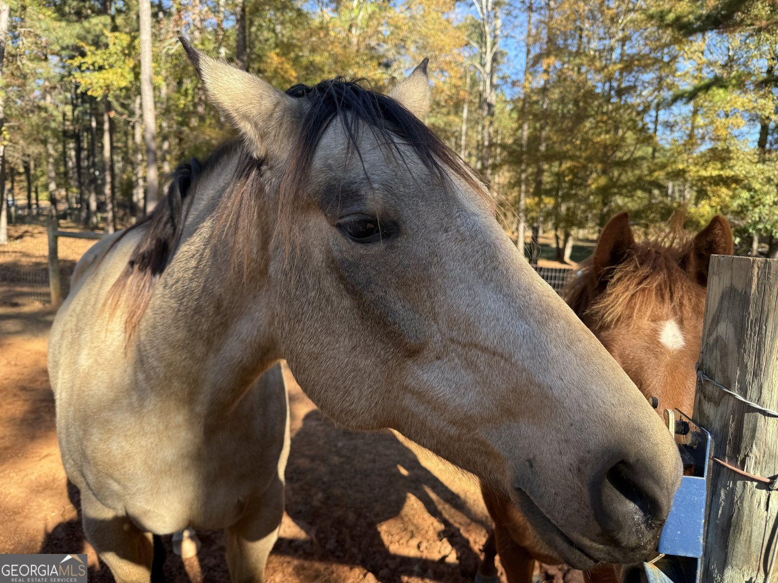 8046 Roosevelt Highway Warm Springs - 74