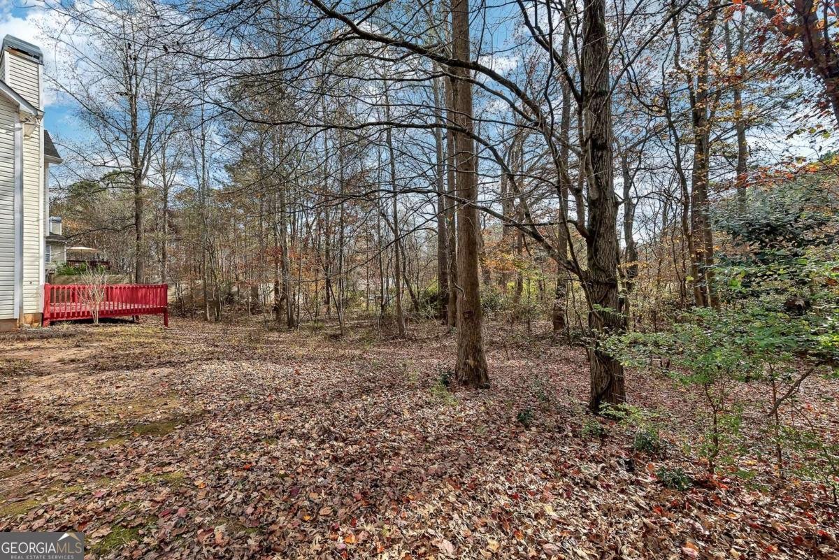 4299 High Country Drive Douglasville - 18