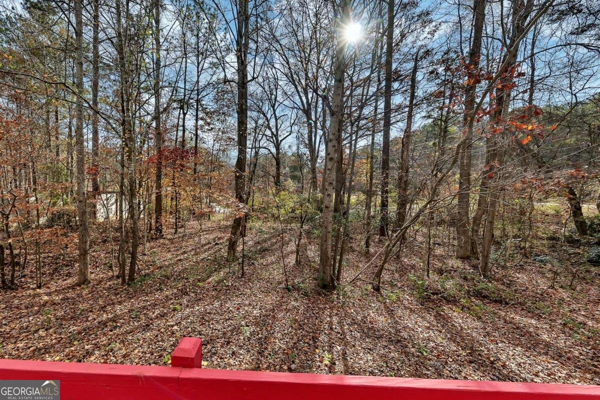 4299 High Country Drive Douglasville - 21