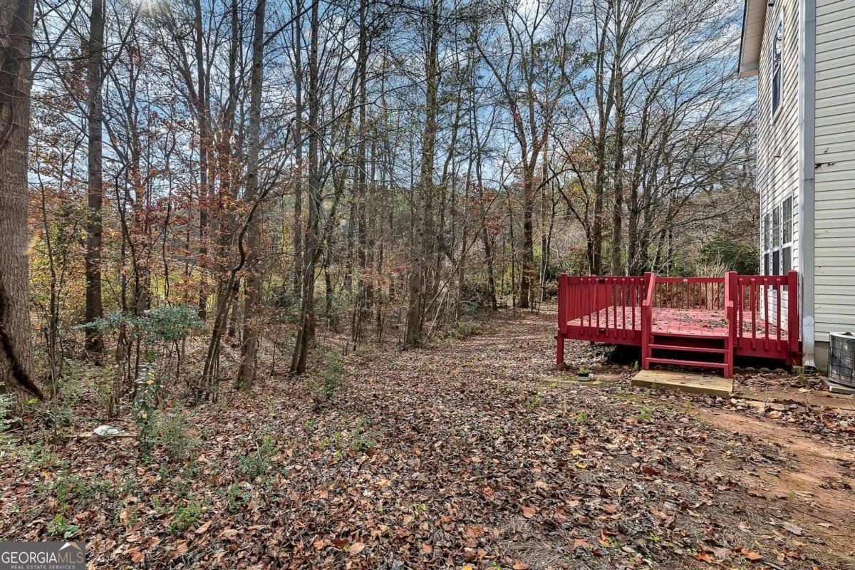 4299 High Country Drive Douglasville - 22