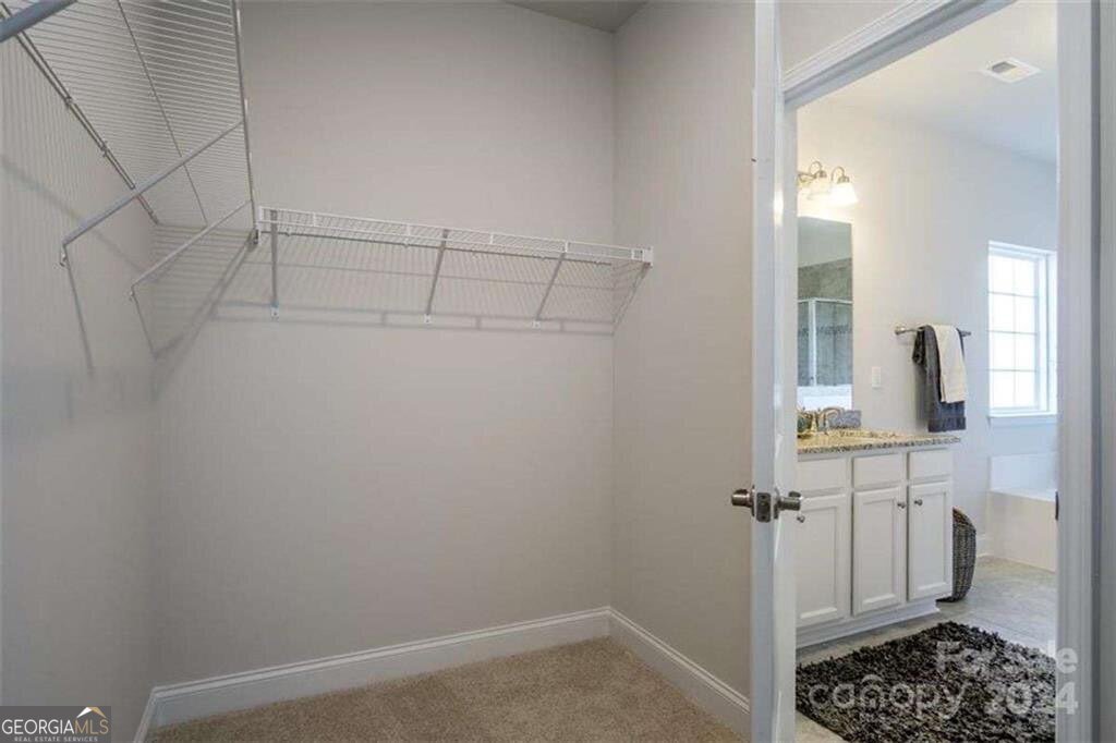 255 Eason Street Bowdon - 17