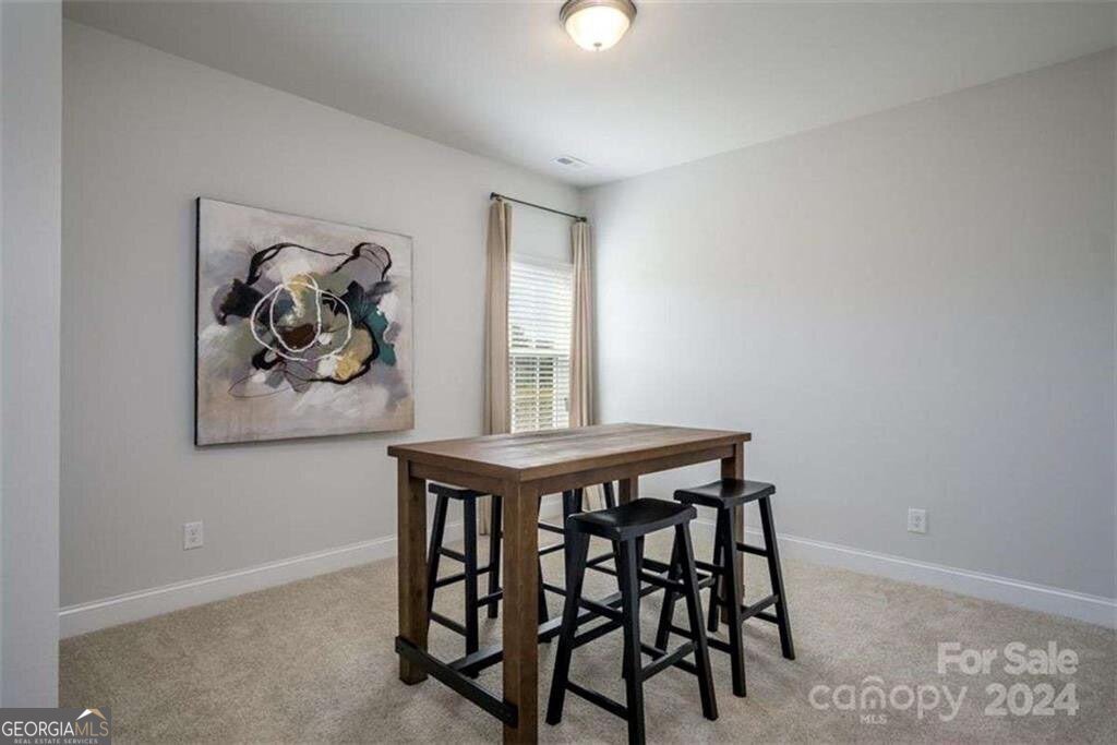 255 Eason Street Bowdon - 9