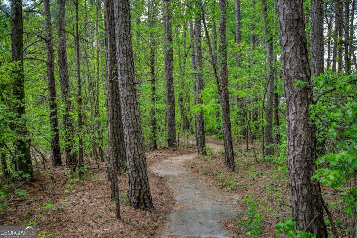 904 Stream Valley Trail Alpharetta - 35