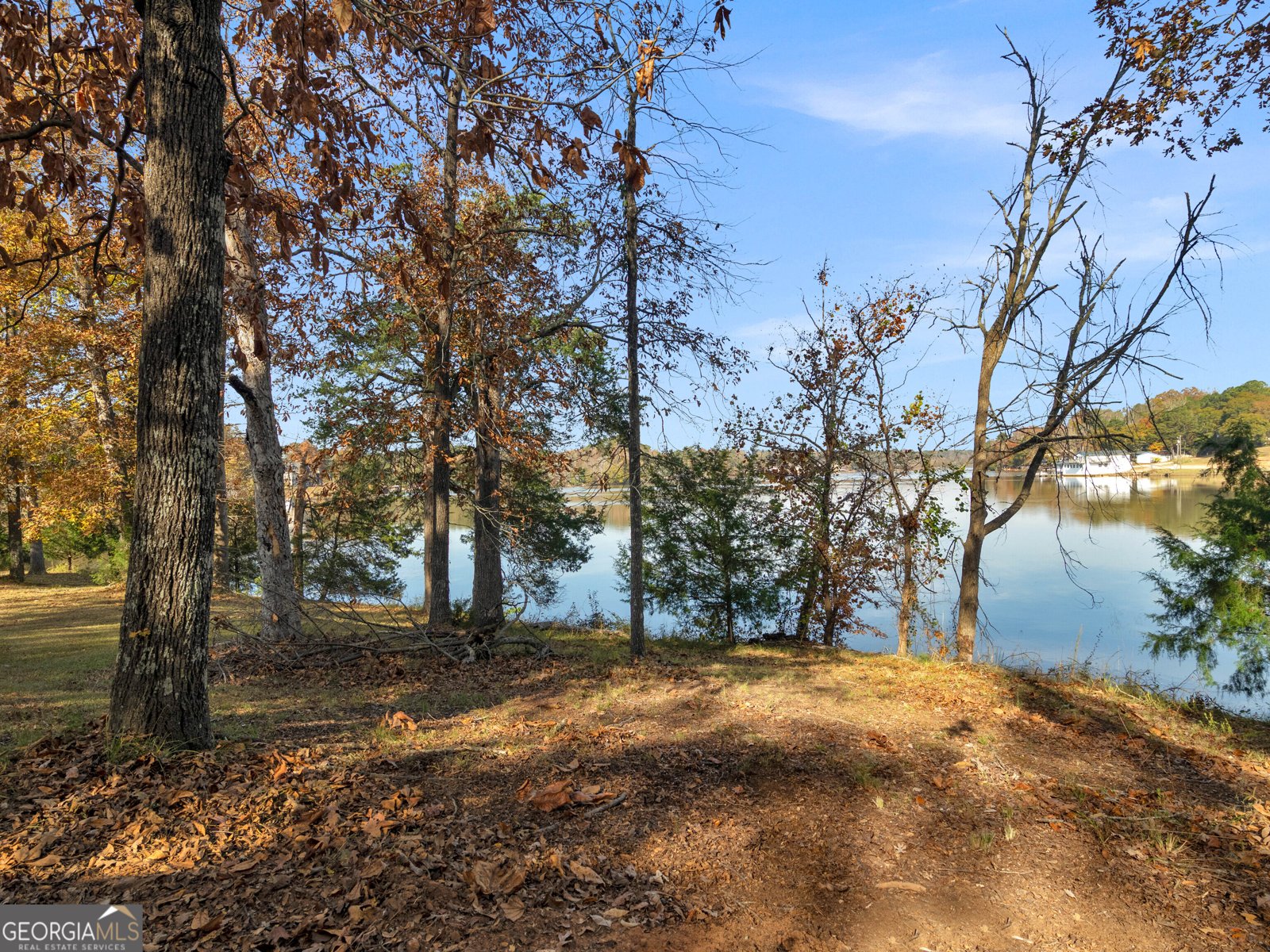 296 Reeves Road Jackson - 39