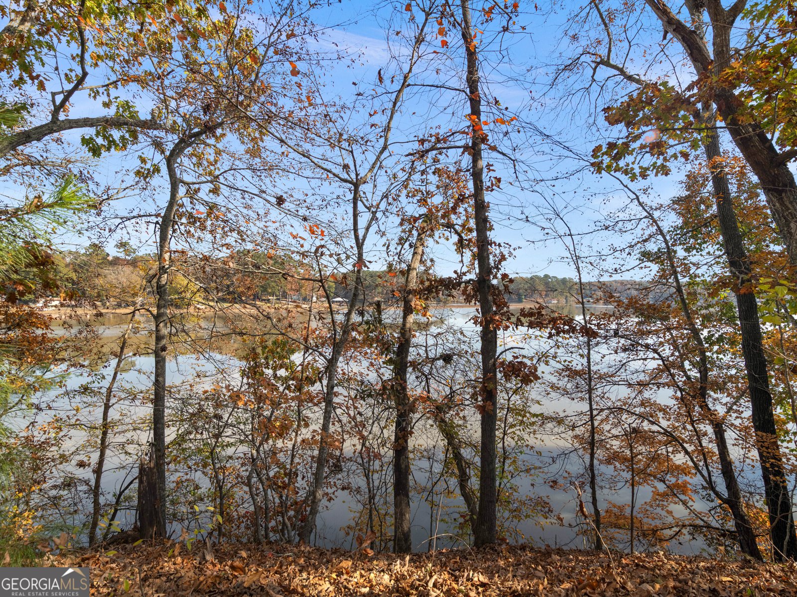 296 Reeves Road Jackson - 40