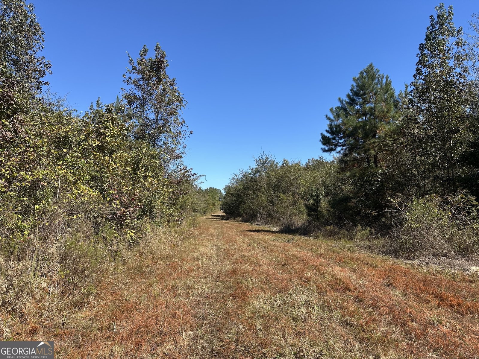 68 Sand Ridge Road Rhine - 33