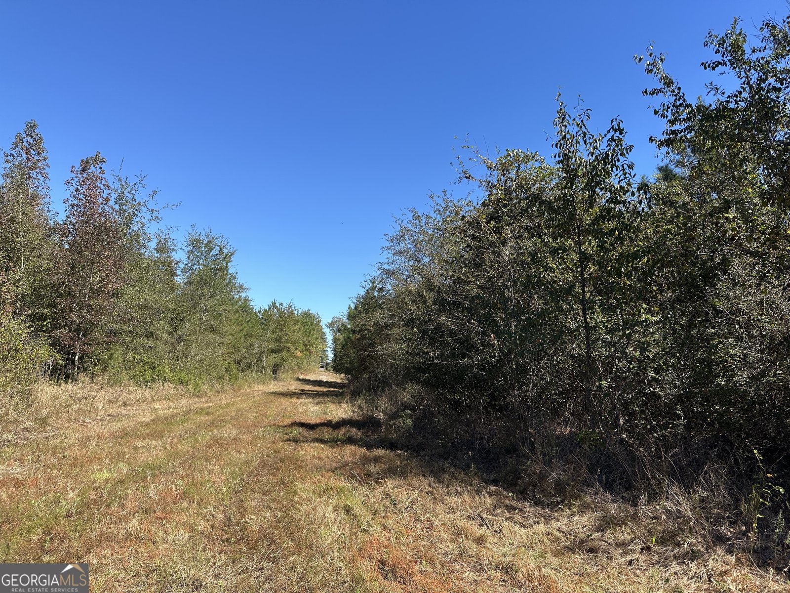 68 Sand Ridge Road Rhine - 35