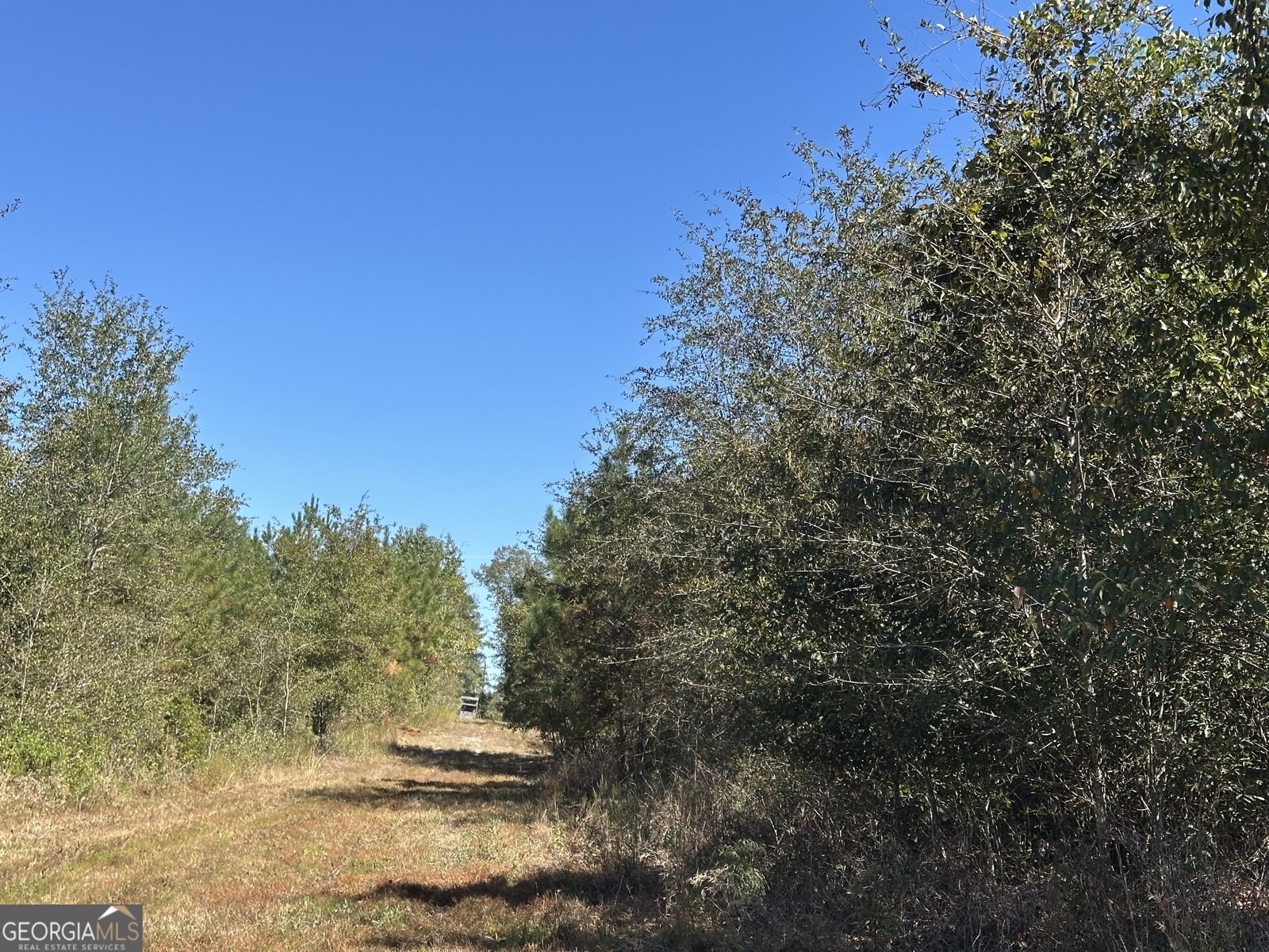 68 Sand Ridge Road Rhine - 36