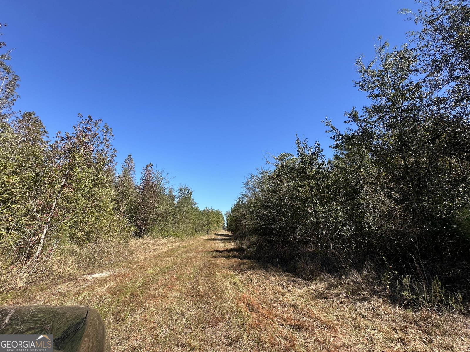 68 Sand Ridge Road Rhine - 37