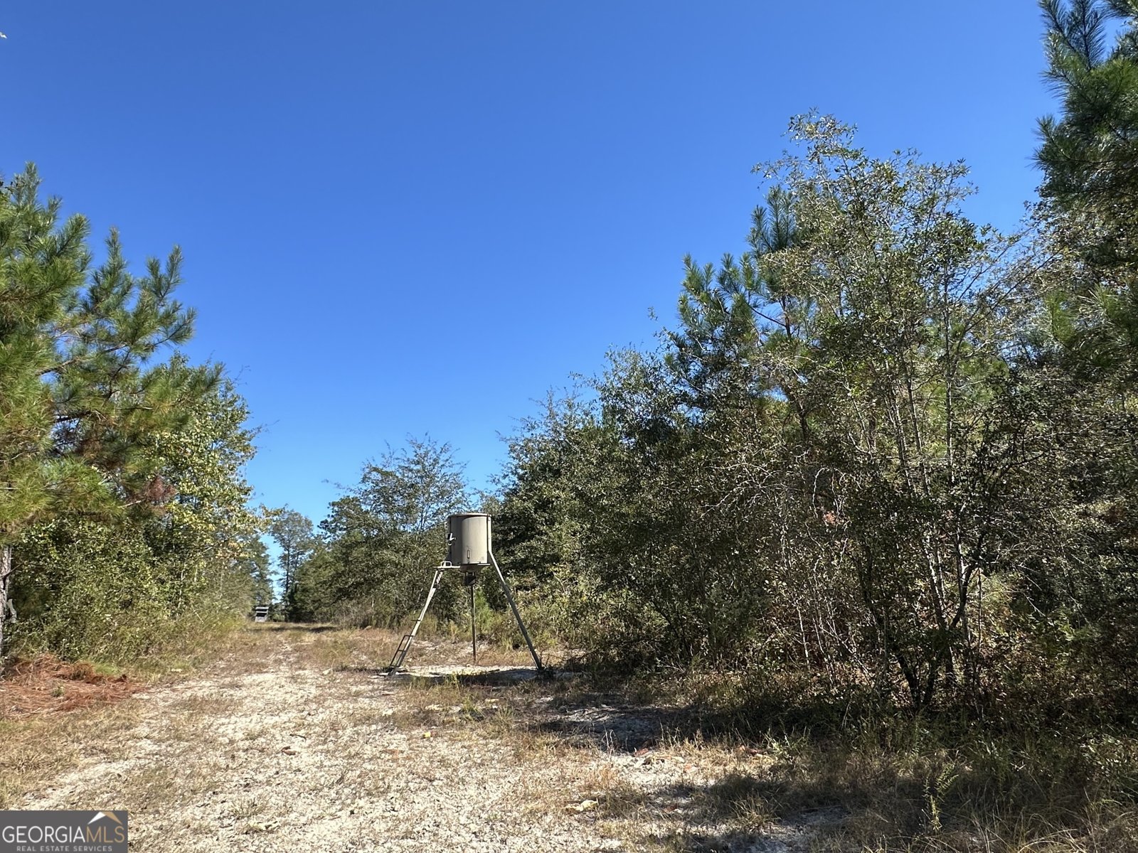 68 Sand Ridge Road Rhine - 38