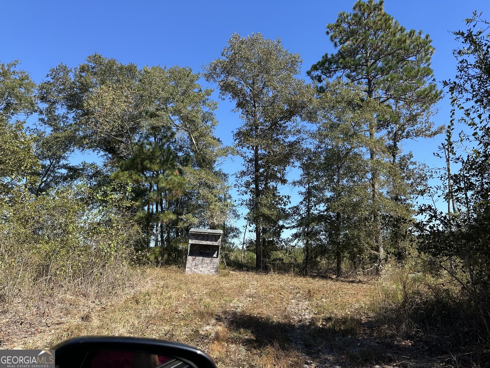 68 Sand Ridge Road Rhine - 39