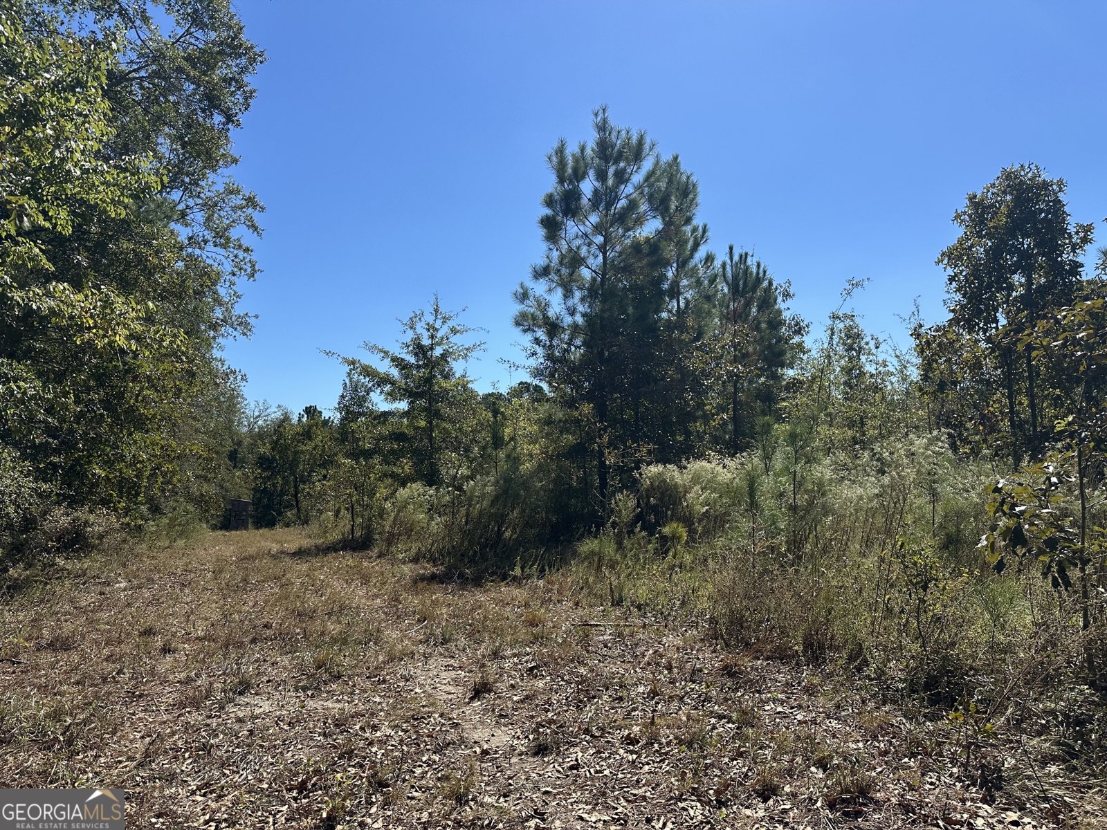 68 Sand Ridge Road Rhine - 42