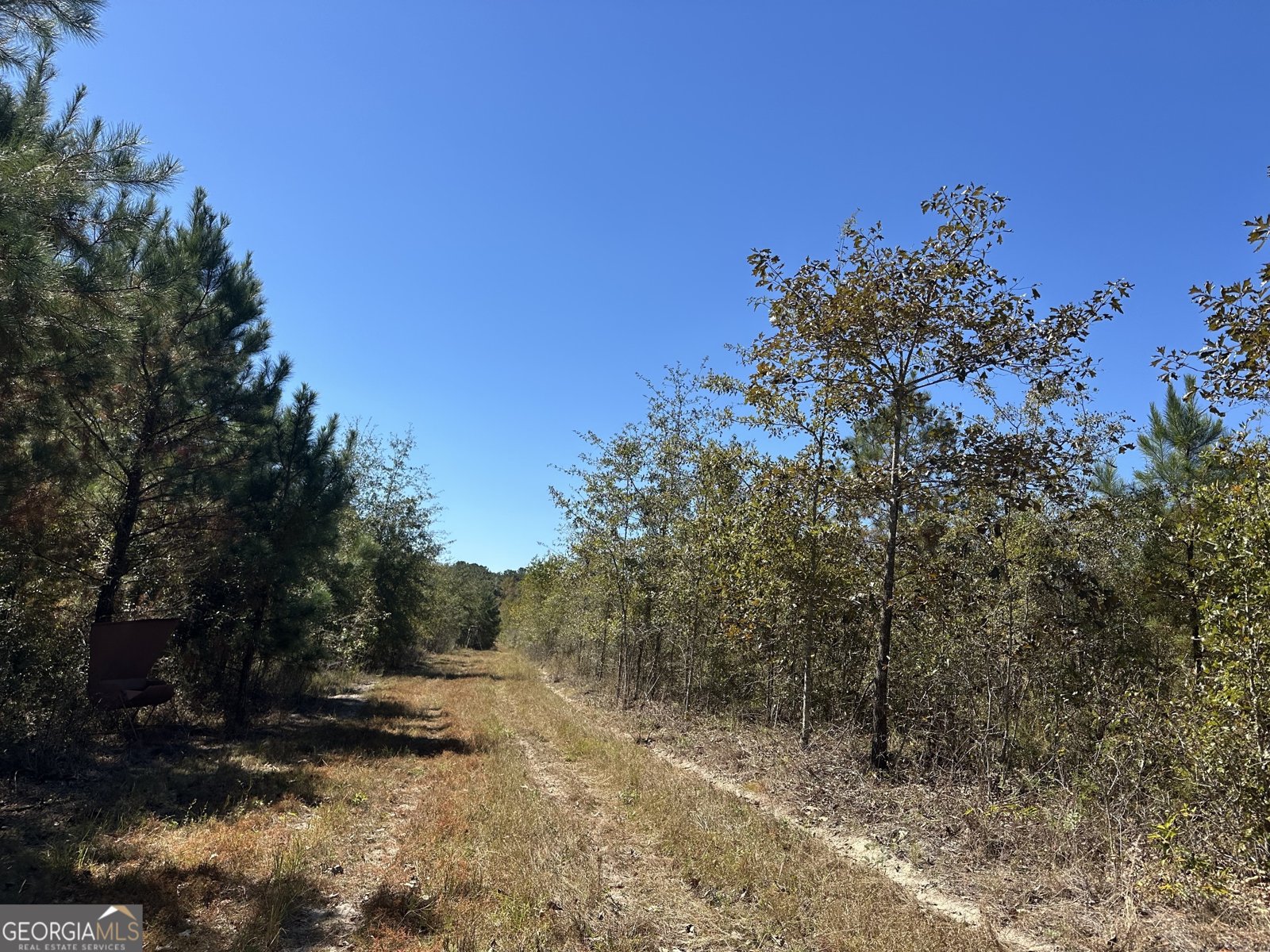 68 Sand Ridge Road Rhine - 44