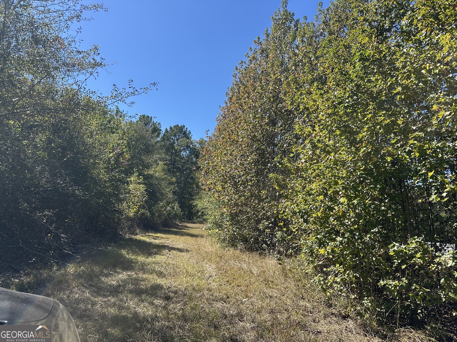 68 Sand Ridge Road Rhine - 46