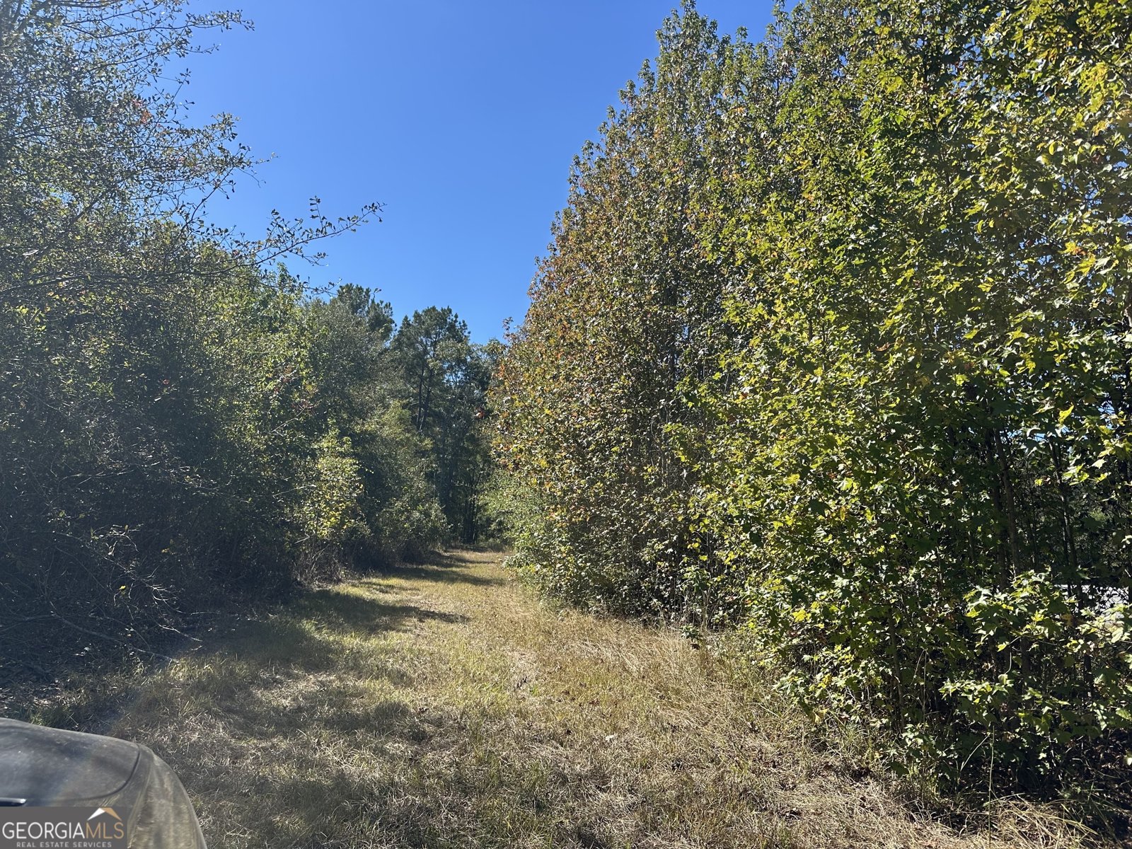 68 Sand Ridge Road Rhine - 48