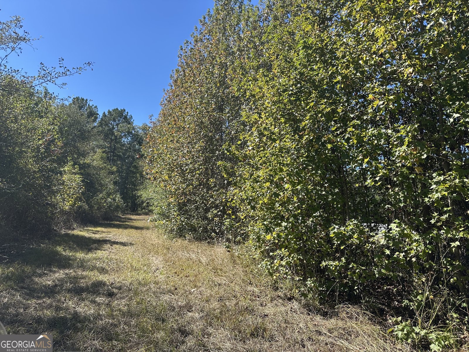 68 Sand Ridge Road Rhine - 49