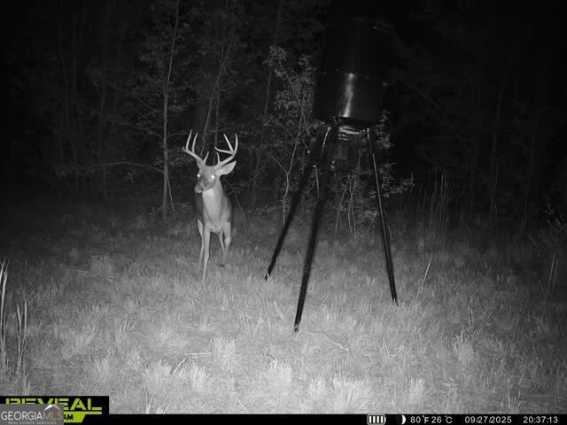 68 Sand Ridge Road Rhine - 52