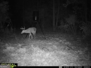 68 Sand Ridge Road Rhine - 53