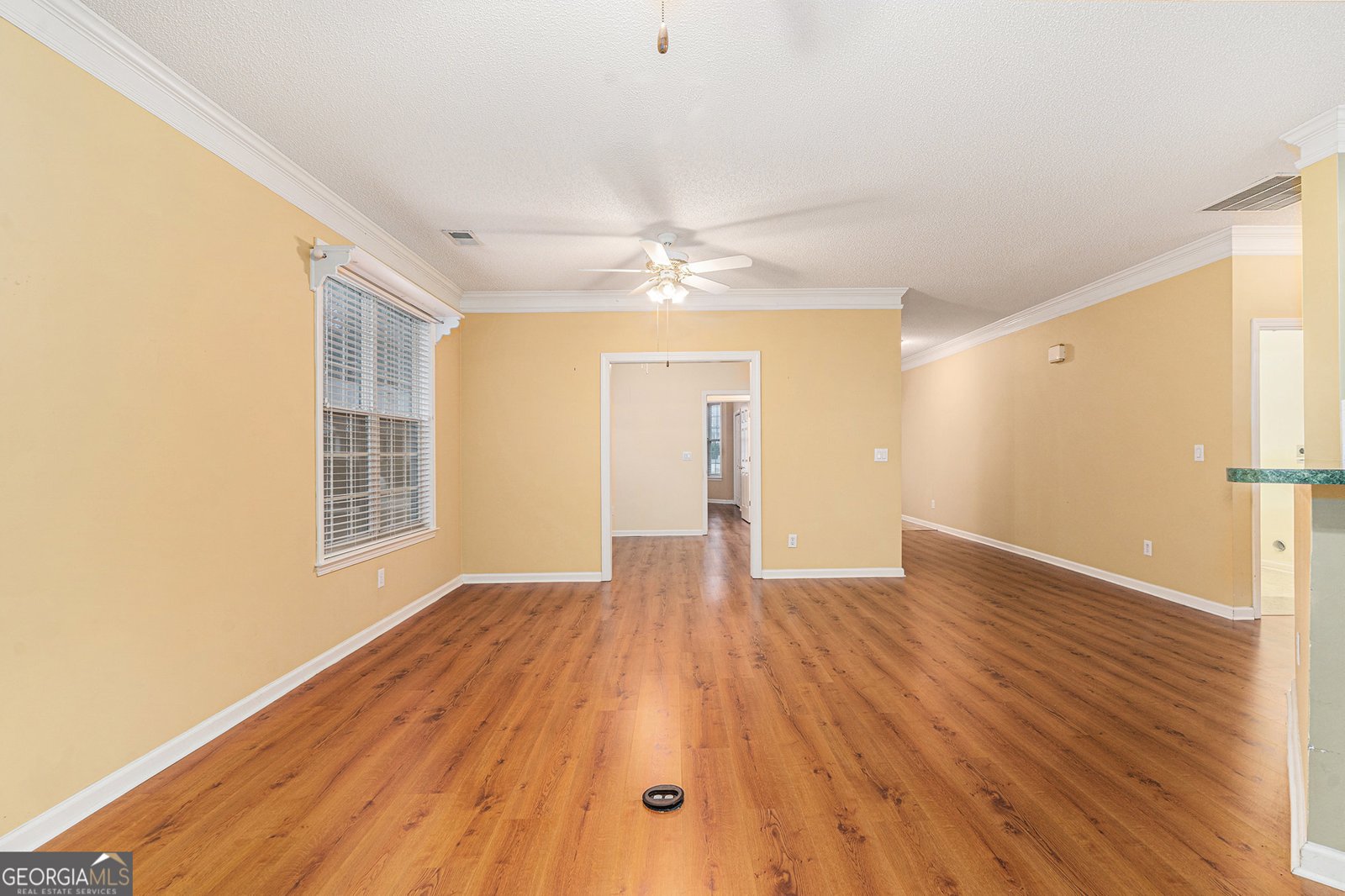 271 Spring Creek Boulevard Mcdonough - 5