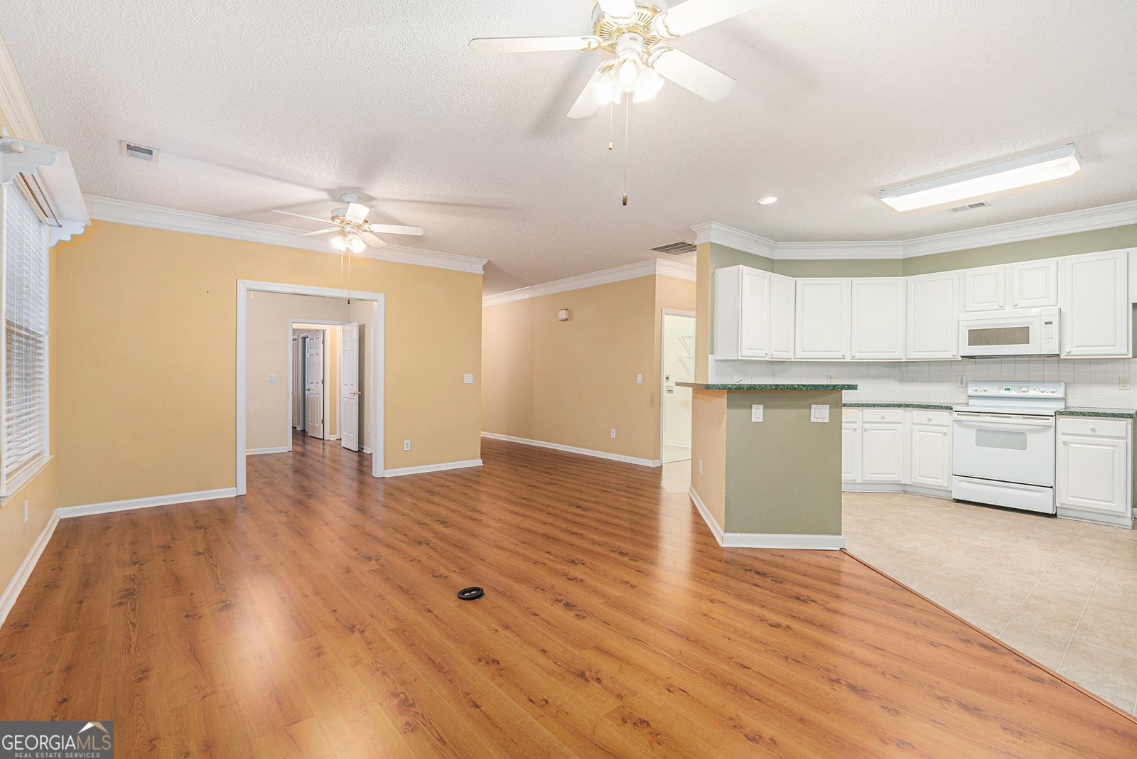 271 Spring Creek Boulevard Mcdonough - 8