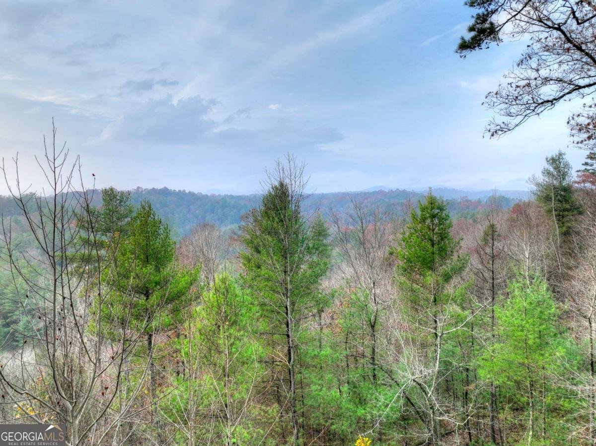 89 Whitepath Circle Ellijay - 3