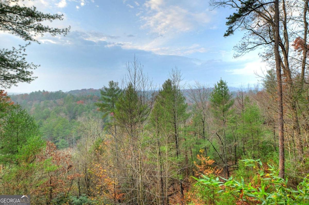 89 Whitepath Circle Ellijay - 34