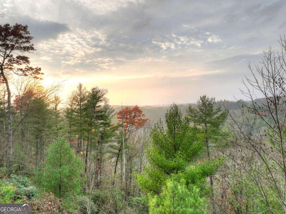 89 Whitepath Circle Ellijay - 36