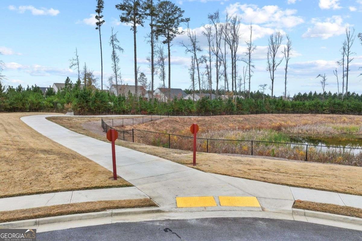 726 Lanarck Way Peachtree City - 41