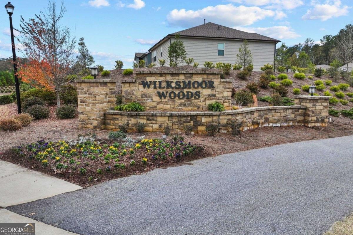 726 Lanarck Way Peachtree City - 47