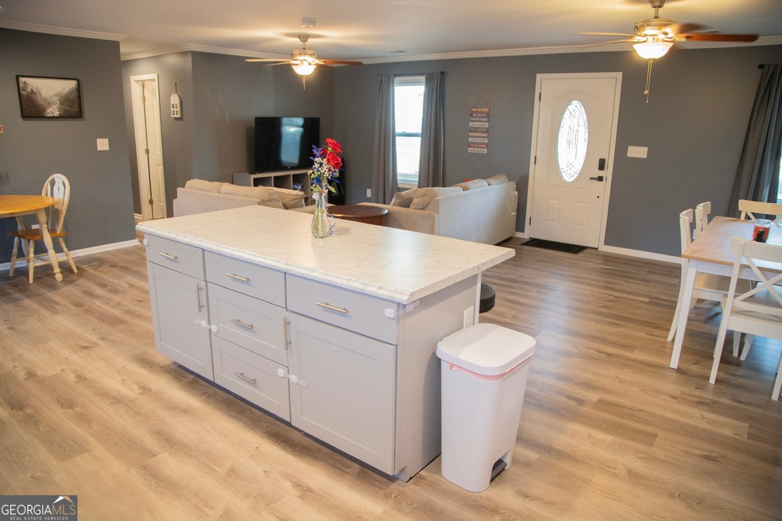 571 Oak Grove Road McDonough - 3