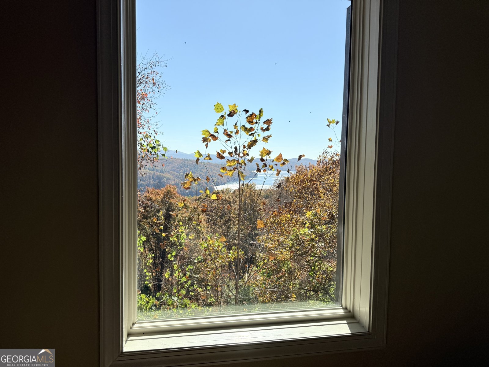 171 High Pointe Drive Clayton - 66