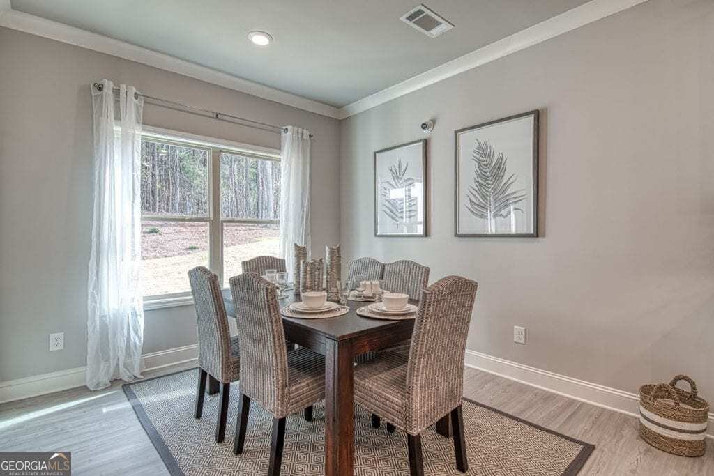 672 Secret Garden Lane Dacula - 11