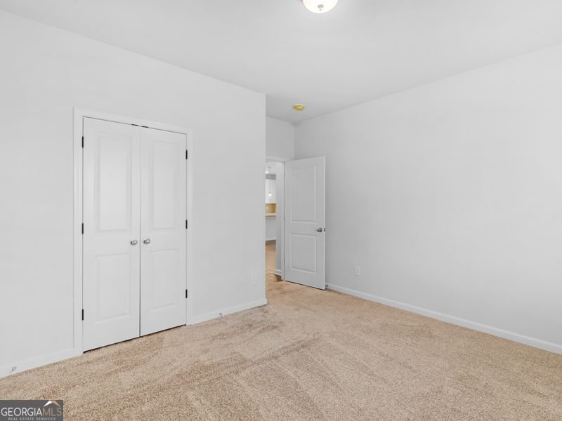 223 Monarch Village Way Stockbridge - 11