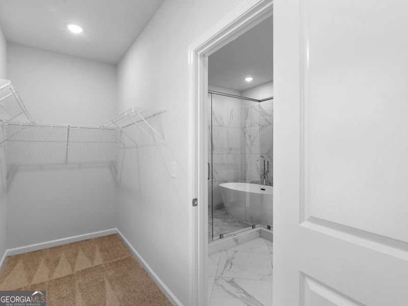 223 Monarch Village Way Stockbridge - 23