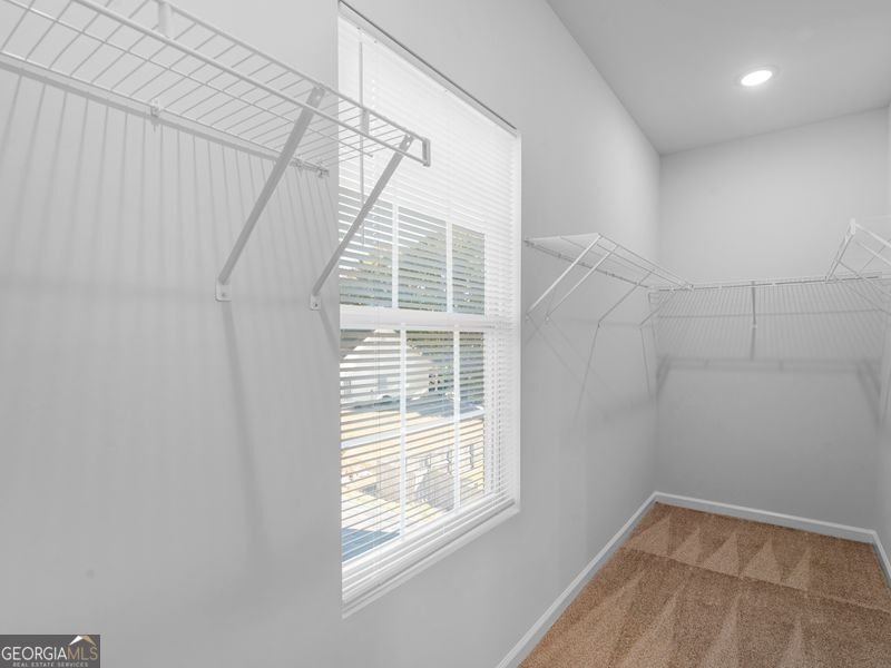 223 Monarch Village Way Stockbridge - 24