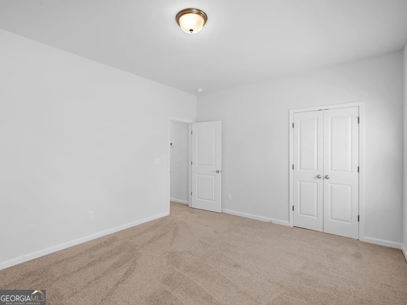 223 Monarch Village Way Stockbridge - 29