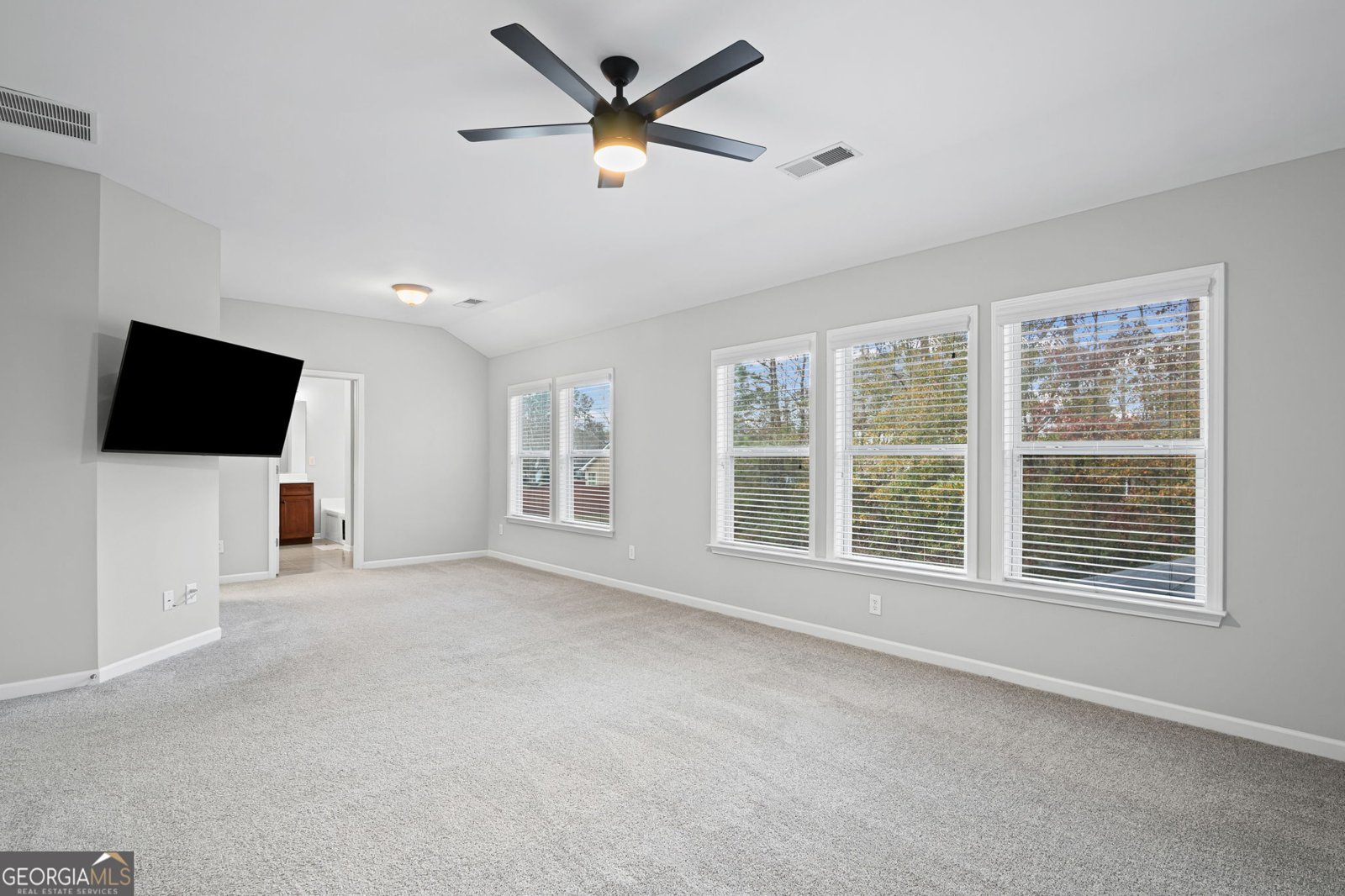 6 Eagle Court Newnan - 9