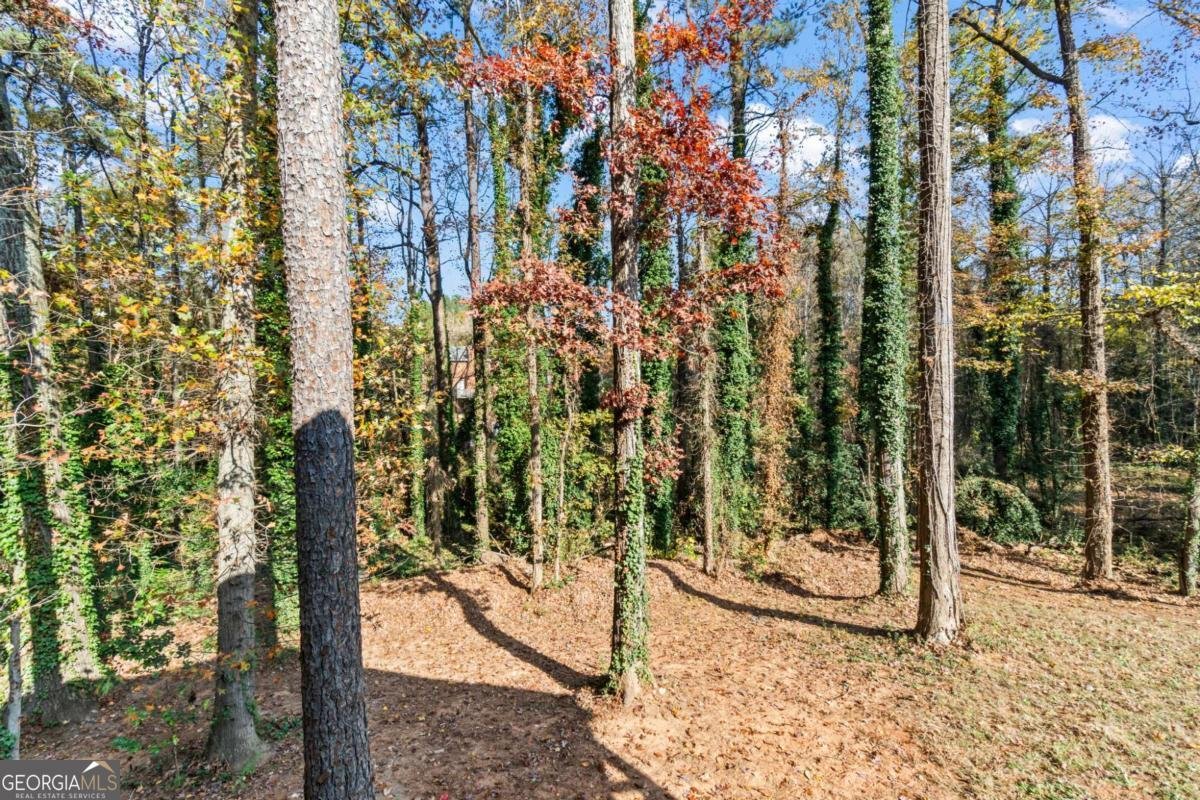 1018 FELLSRIDGE Court Stone Mountain - 27