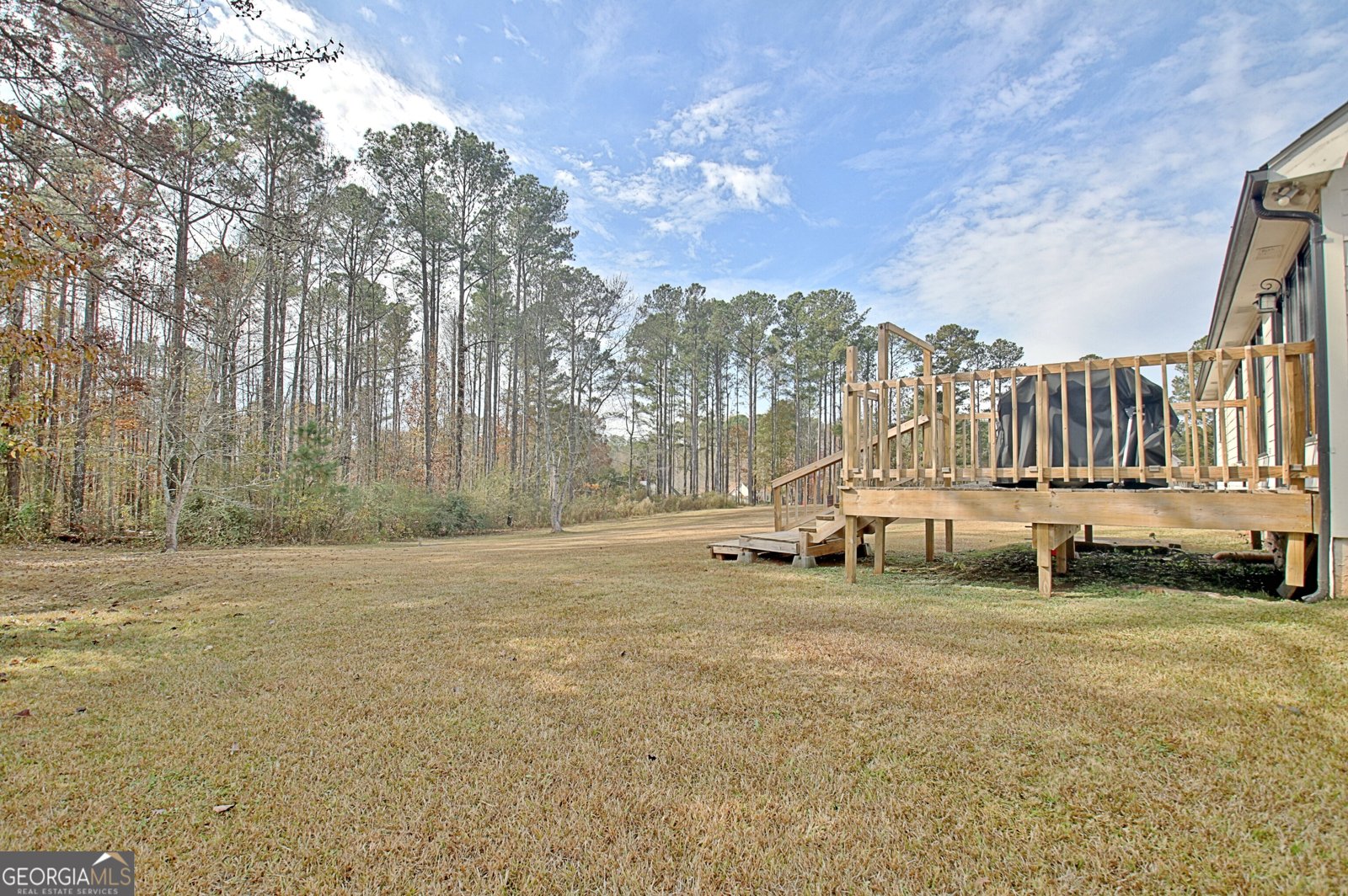 104 Blue Ridge Drive Newnan - 49