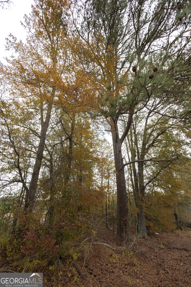 11625 AL Hwy 68 Gaylesville - 12