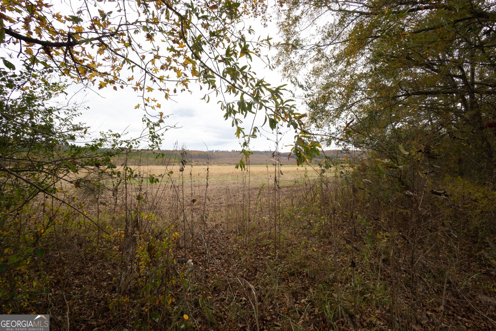 11625 AL Hwy 68 Gaylesville - 13