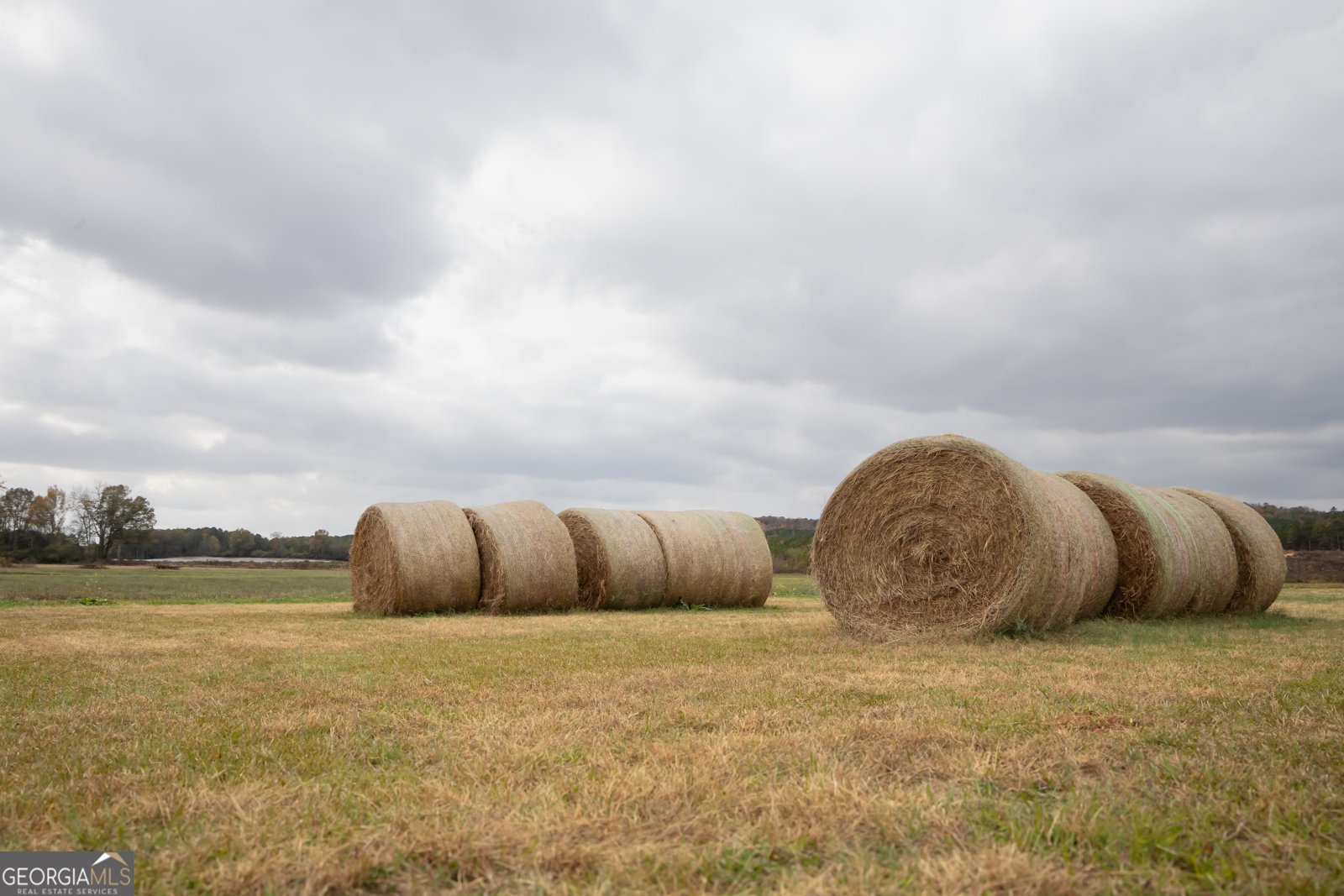 11625 AL Hwy 68 Gaylesville - 5