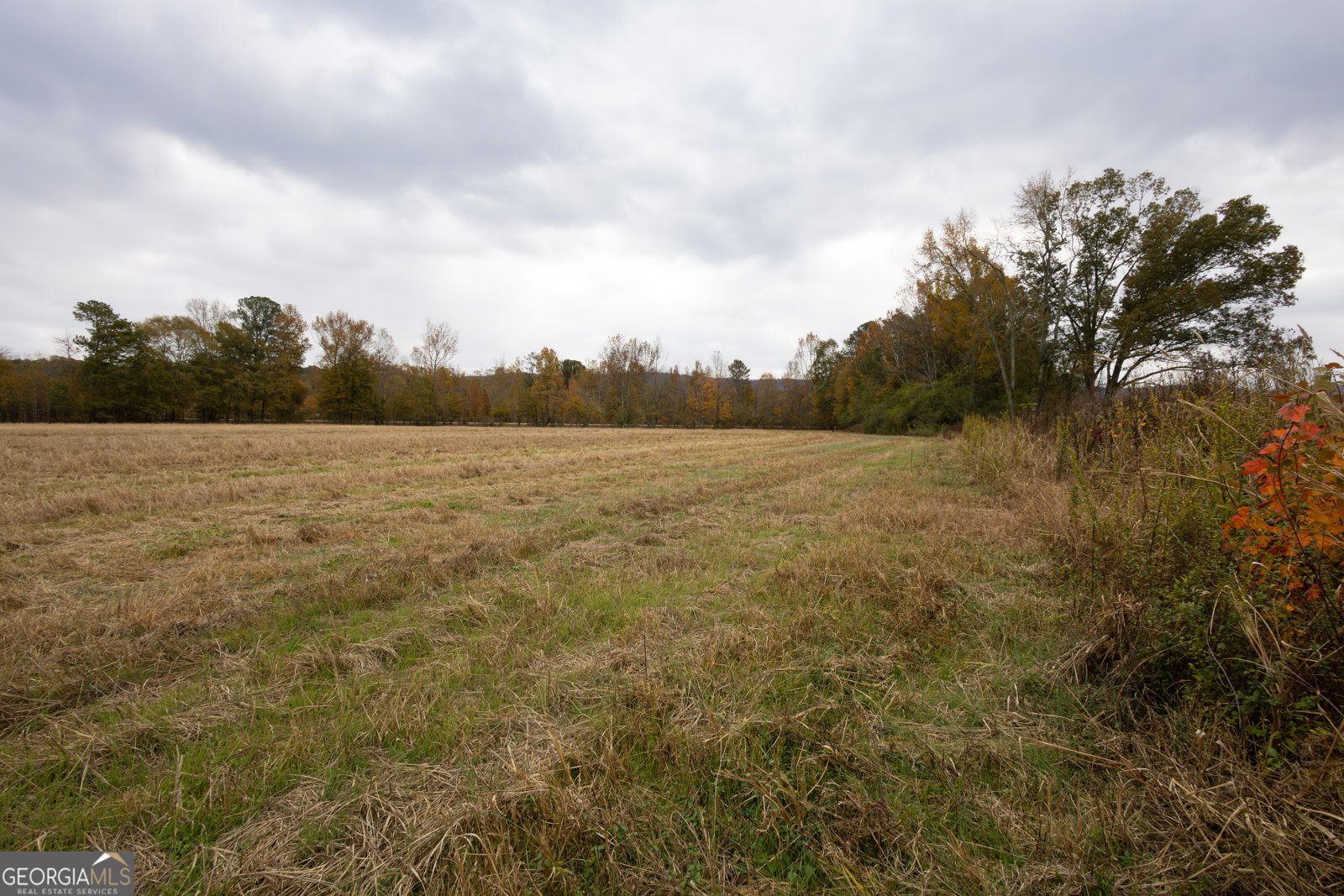 11625 AL Hwy 68 Gaylesville - 6