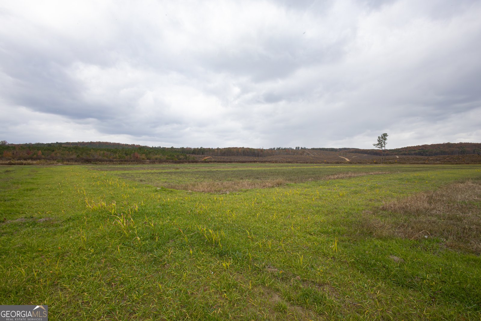 11625 AL Hwy 68 Gaylesville - 7